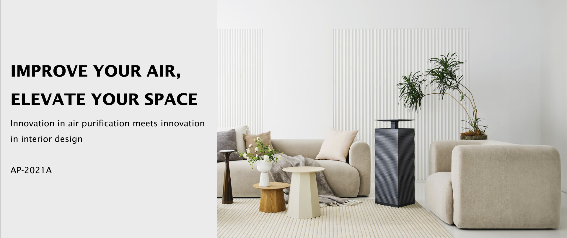 Coway Air Purifier